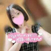 ヒメ日記 2025/11/05 11:46 投稿 せれん クラブ貴公子