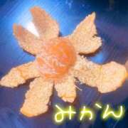 ヒメ日記 2025/12/12 12:02 投稿 しずくさん いけない奥さん 十三店