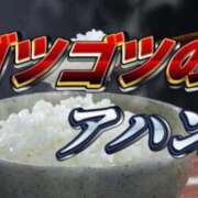 ヒメ日記 2025/12/02 15:38 投稿 しずくさん いけない奥さん 梅田店