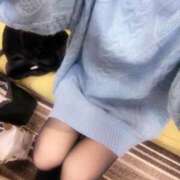 ヒメ日記 2025/12/03 13:31 投稿 しずくさん いけない奥さん 梅田店