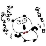 しずくさん こんちゃ いけない奥さん 梅田店