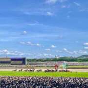 みおん 有馬記念 横浜シンデレラ（シンデレラグループ）