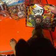 ヒメ日記 2025/10/28 00:30 投稿 ねずこ 桃李（とうり）