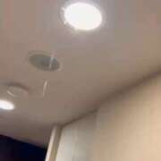 ヒメ日記 2025/11/13 13:04 投稿 ねずこ 桃李（とうり）