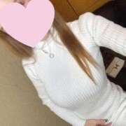 ヒメ日記 2025/11/20 18:54 投稿 ねずこ 桃李（とうり）