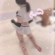 ヒメ日記 2025/12/04 05:29 投稿 せいな もも尻本店