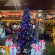 ヒメ日記 2025/12/21 17:15 投稿 うみな レモンカフェ