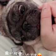 ヒメ日記 2025/12/29 12:17 投稿 ウララ ドMな奥様 大阪本店