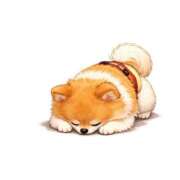 ヒメ日記 2025/12/25 11:46 投稿 渡邉ゆうか とびきりかわいい専門～You:More～