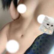 ヒメ日記 2025/10/17 03:04 投稿 日野らいち ブルーバード