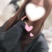 れん 出勤！ サクラ（すすきの）