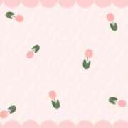 ヒメ日記 2025/11/13 18:07 投稿 るい ぷよステーション 蒲田店