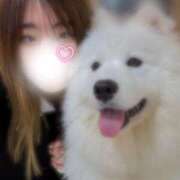 ヒメ日記 2025/10/19 20:17 投稿 ゆの 葛西コスプレメイド学園（シンデレラグループ）