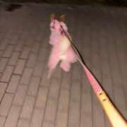 ヒメ日記 2025/10/24 11:34 投稿 ゆの 葛西コスプレメイド学園（シンデレラグループ）