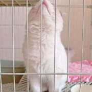 ヒメ日記 2025/12/10 13:05 投稿 きすい 恋の履歴書