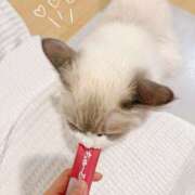 ヒメ日記 2026/02/26 11:34 投稿 きすい 恋の履歴書