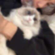 ヒメ日記 2026/04/12 15:27 投稿 きすい 恋の履歴書