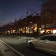 ヒメ日記 2025/11/15 17:38 投稿 ちぴ 渋谷とある風俗店♡やりすぎコレクション