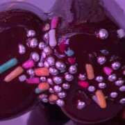 ヒメ日記 2026/02/15 17:20 投稿 ちぴ 渋谷とある風俗店♡やりすぎコレクション