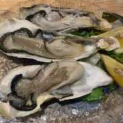 ヒメ日記 2026/04/08 15:20 投稿 ちぴ 渋谷とある風俗店♡やりすぎコレクション