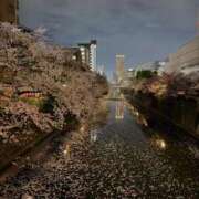 ヒメ日記 2026/04/09 19:50 投稿 ちぴ 渋谷とある風俗店♡やりすぎコレクション