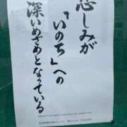 ヒメ日記 2026/09/12 01:50 投稿 ちぴ 渋谷さーくる