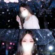 ヒメ日記 2026/03/26 13:50 投稿 すず 男爵