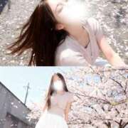 ヒメ日記 2026/03/27 13:57 投稿 すず 男爵