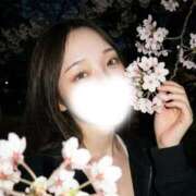 ヒメ日記 2026/04/09 21:57 投稿 すず 男爵