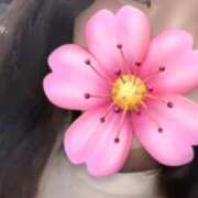 ヒメ日記 2025/11/24 00:50 投稿 みゆ ばつぐん素人プロダクション