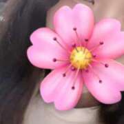 ヒメ日記 2025/11/24 00:51 投稿 みゆ 京都デリヘル女学院