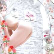 ヒメ日記 2025/12/31 12:02 投稿 花純（かすみ） 東金人妻花壇