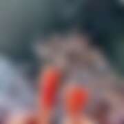 ヒメ日記 2026/04/08 09:59 投稿 花純（かすみ） 東金人妻花壇