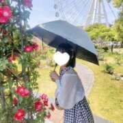 ヒメ日記 2025/10/11 09:35 投稿 葵羽ことり PLAY