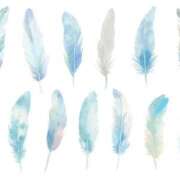 葵羽ことり 🐦土日お休みします🪽‪ PLAY