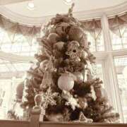 ヒメ日記 2025/12/17 11:32 投稿 いと セレブクエスト－Iwaki－