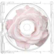 石山せれい 本日14:00~20:00出勤🎀 HYPER TOKYO