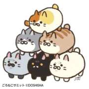 ヒメ日記 2025/11/26 12:25 投稿 れん One More 奥様 小岩店