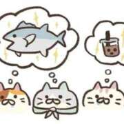 れん 最近ハマリのごろねこサミット One More 奥様 小岩店