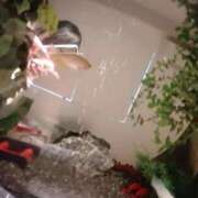 ヒメ日記 2026/03/13 12:05 投稿 れん One More 奥様 小岩店