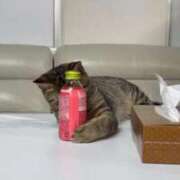 ヒメ日記 2025/11/01 04:41 投稿 みなみ♡モデル系スレンダー美女♡ ラブチャンス(福岡)