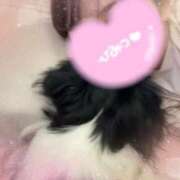 ゆうか お久しぶりです🥹❤️ すぐ舐めたくて学園立川校〜舐めたくてグループ〜