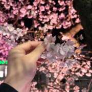 ヒメ日記 2026/04/02 12:15 投稿 ゆうか すぐ舐めたくて学園立川校〜舐めたくてグループ〜