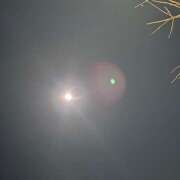 ヒメ日記 2025/12/06 03:42 投稿 そら 肌水(名古屋)