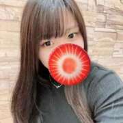 ヒメ日記 2025/11/15 01:14 投稿 森乃ほたる 手コキ研修塾