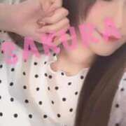 ヒメ日記 2026/01/03 17:51 投稿 さくら 宮城仙南ちゃんこ