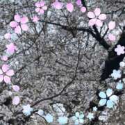 ヒメ日記 2026/04/08 06:22 投稿 愛優【アユ】 輝女