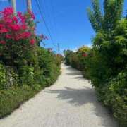 ヒメ日記 2025/10/21 20:19 投稿 武藤 鶯谷人妻城