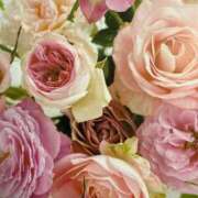 ヒメ日記 2025/10/14 07:04 投稿 秋乃ちふゆ 五十路マダムエクスプレス船橋店(カサブランカグループ)