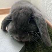 ヒメ日記 2025/10/15 13:38 投稿 秋乃ちふゆ 五十路マダムエクスプレス船橋店(カサブランカグループ)